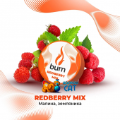 Табак Burn Strawberry Panna-Cotta (Клубничная Панна-котта) 25г Акцизный